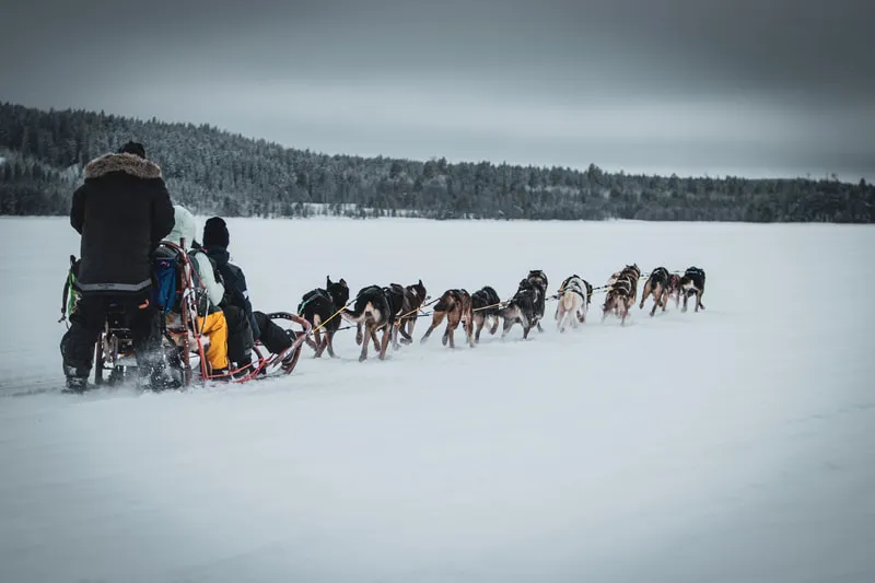 Winter Drift Training in Schweden